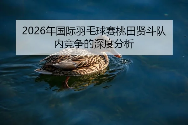 nian-guo-ji-yu-mao-qiu-sai-tao-tian-xian-dou-dui-nei-jing-zheng-de-shen-du-fen-xi-2-471.jpg