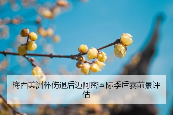 mei-xi-mei-zhou-bei-shang-tui-hou-mai-a-mi-guo-ji-ji-hou-sai-qian-jing-ping-gu-2-916.jpg
