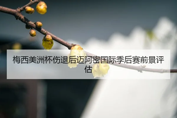 mei-xi-mei-zhou-bei-shang-tui-hou-mai-a-mi-guo-ji-ji-hou-sai-qian-jing-ping-gu-3-291.jpg
