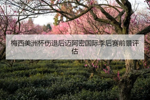 梅西美洲杯伤退后迈阿密国际季后赛前景评估