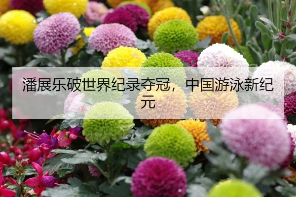 潘展乐破世界纪录夺冠，中国游泳新纪元